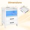 White LED Nightstand Bedside Table with USB Type-C Outlets 2 Drawers & Shelf